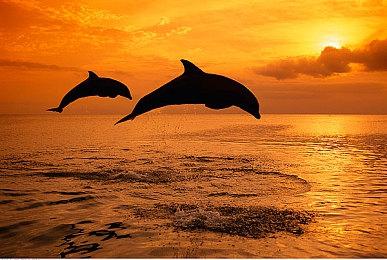 《JOJO群星之战R》公布电力替身使者音石明预告