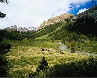 动作肉鸽独游《梦之形》全球下载量突破50万次，领感谢礼券得游戏内特别饰品